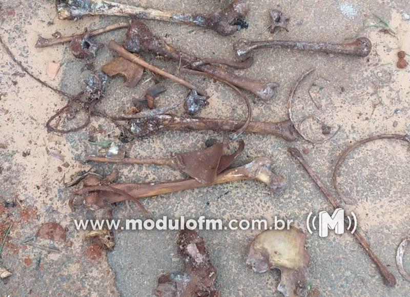 Morador encontra ossada humana em residência na cidade de Abadia dos Dourados