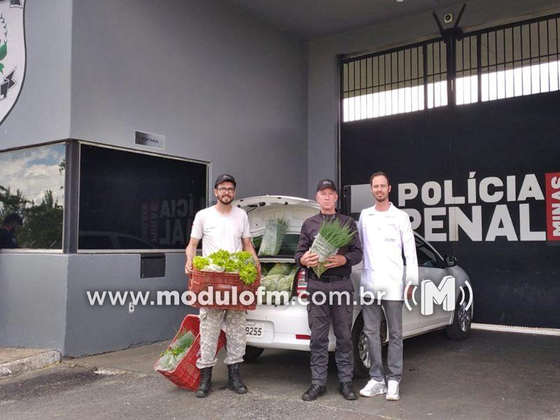 Penitenciária de Patrocínio realiza doação de verduras e hortaliças a instituições beneficentes do município.