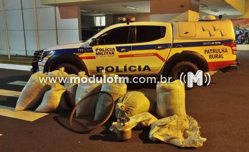 Polícia Militar recupera café furtado e prende três suspeitos em Martins