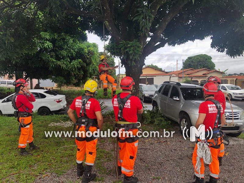 Corpo de Bombeiros realizou treinamento de vistoria e corte de árvores, visando período chuvoso em Patrocínio