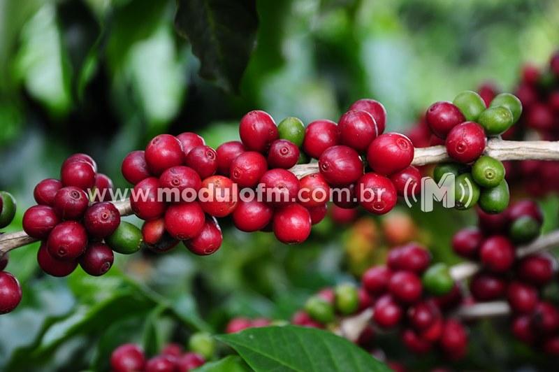 Minas fecha ano com desempenho recorde de US$ 14,1 bilhões em exportações no agronegócio