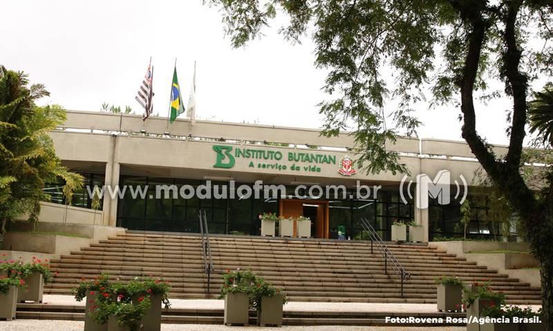 Vacina contra a dengue do Instituto Butantan atinge eficácia de 79,6%