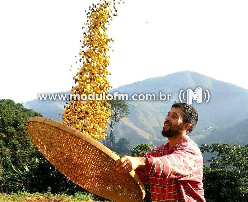 Manual da Emater-MG orienta sobre os cuidados na pré-colheita...
