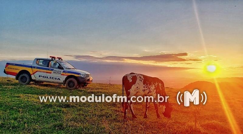 Criminosos furtam quase R$ 1 mil deixados dentro de carro estacionado em fazenda