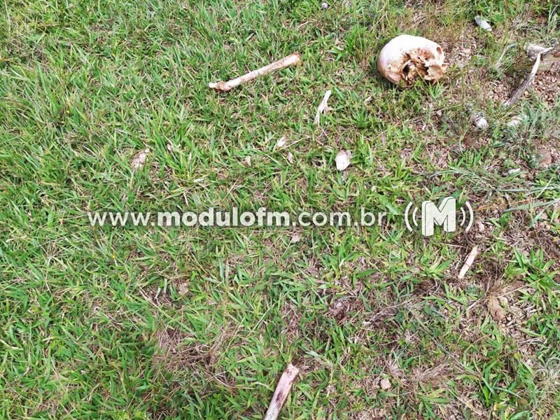 Ossada humana é encontrada próximo da MG-188 em Coromandel