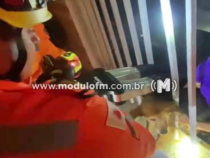 Veja o vídeo: Cão é resgatado pelo Corpo de Bombeiros após ficar preso em grade de portão em Patrocínio