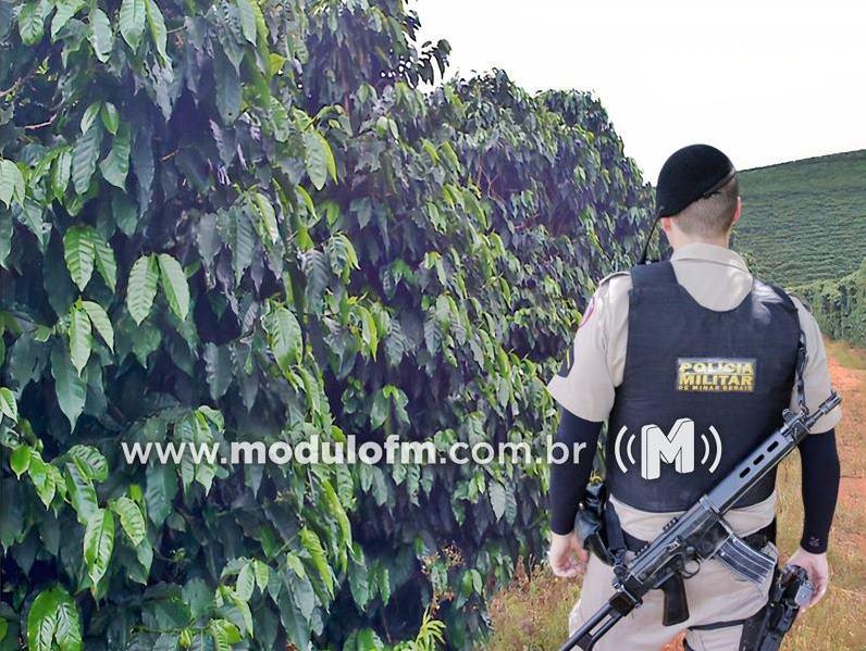 Criminosos invadem propriedade e furtam sacas de café em Patrocínio