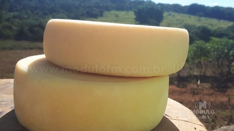 Queijo Minas Artesanal produzido em Patrocínio se classifica para concurso estadual