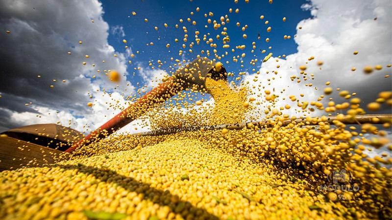 TecnoAgro 2023 é realizado pela primeira vez em Uberlândia
