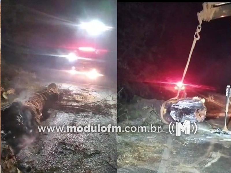 Bombeiros enfrentam desafios na madrugada para liberar rodovia após queda de árvores e incêndio em Perdizes