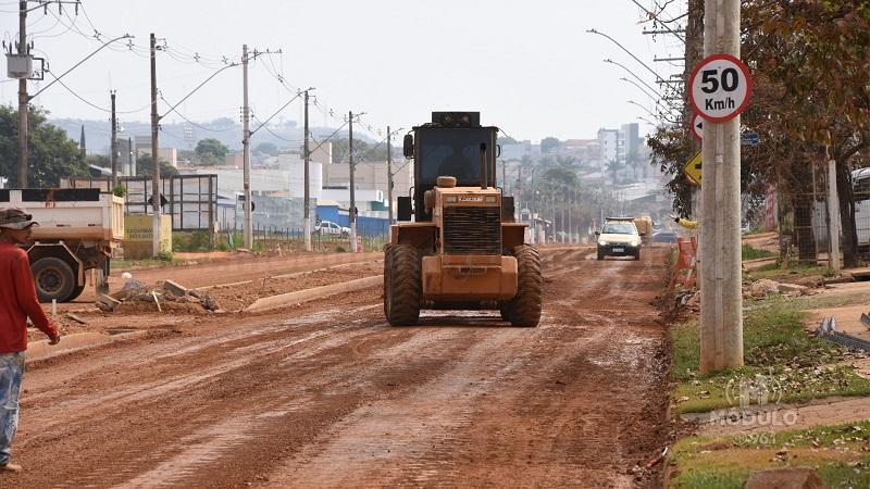 Pesquisa revela opinião popular dividida entre ipês e oitis na avenida do Catiguá; menos de 8% querem palmeiras imperiais