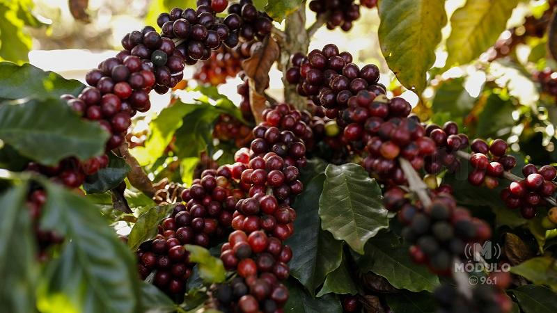 Inscrições para 11ª edição do Prêmio Região do Cerrado...