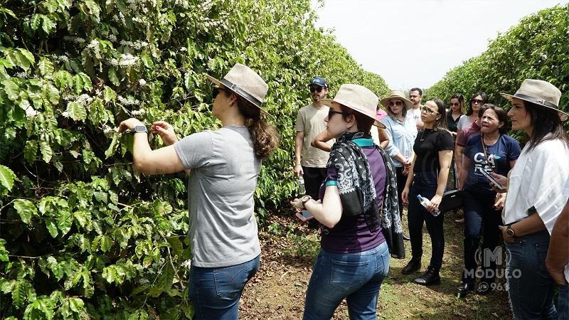 Rota do Café do Cerrado Mineiro recebe visita-teste