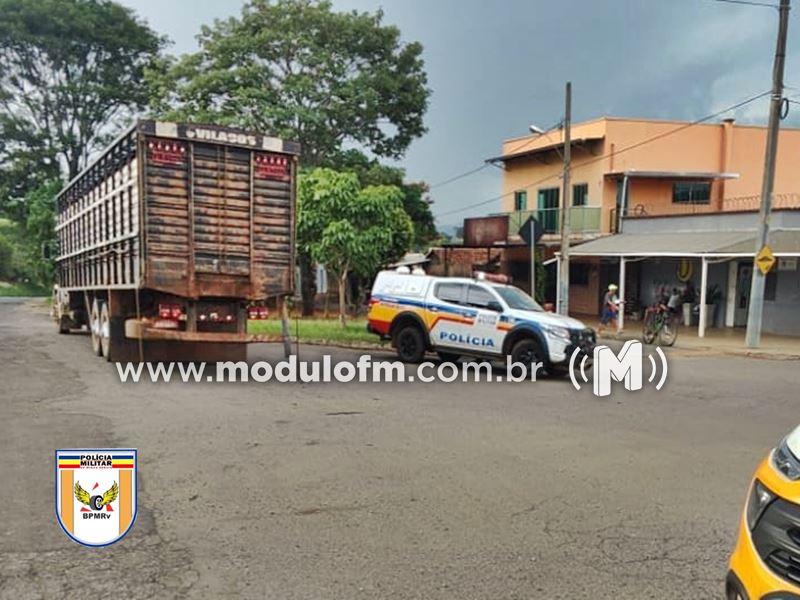 Vacas leiteiras avaliadas em R$ 400 mil adquiridas com cheques sem fundos são apreendidas em Salitre de Minas