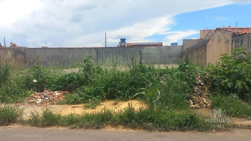 Ratos e escorpiões: lotes sujos revoltam moradores em rua do bairro Nações