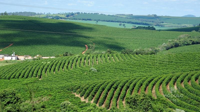 Exportações do agro mineiro batem recorde de volume em...