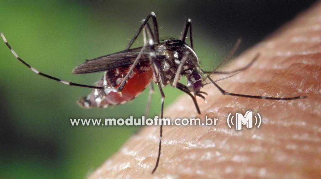 Patrocínio registrou 451 casos de Dengue no último boletim...
