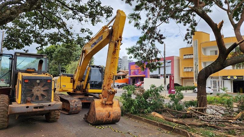 Prefeitura retoma corte de árvores na Avenida Dom José André Coimbra