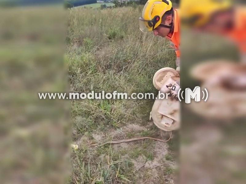 Cobra venenosa é encontrada embaixo de fogão em residência no bairro Congonhas