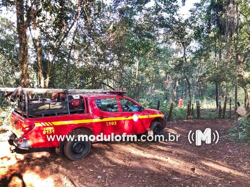 Homem fica gravemente ferido após corte de árvore na zona rural de Coromandel