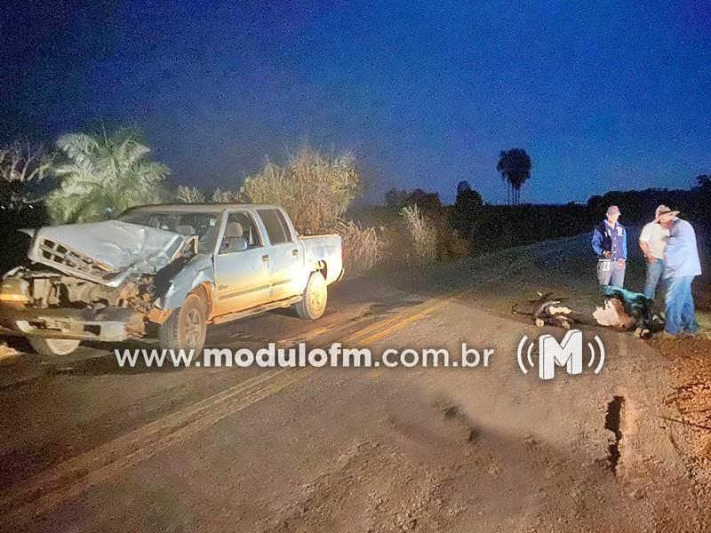 Colisão entre caminhonete e bovino deixa animal morto e veículo danificado na LMG-731 em Silvano
