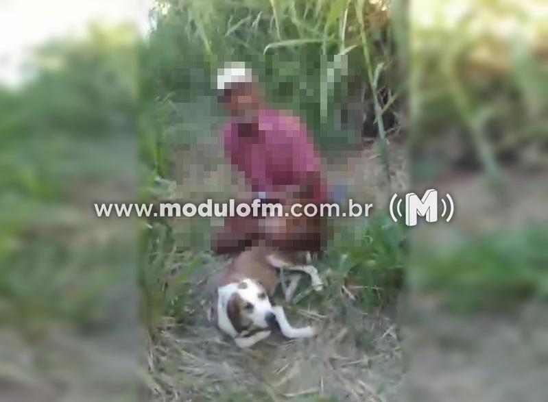 Homem é flagrado sem as calças abusando de cadela...
