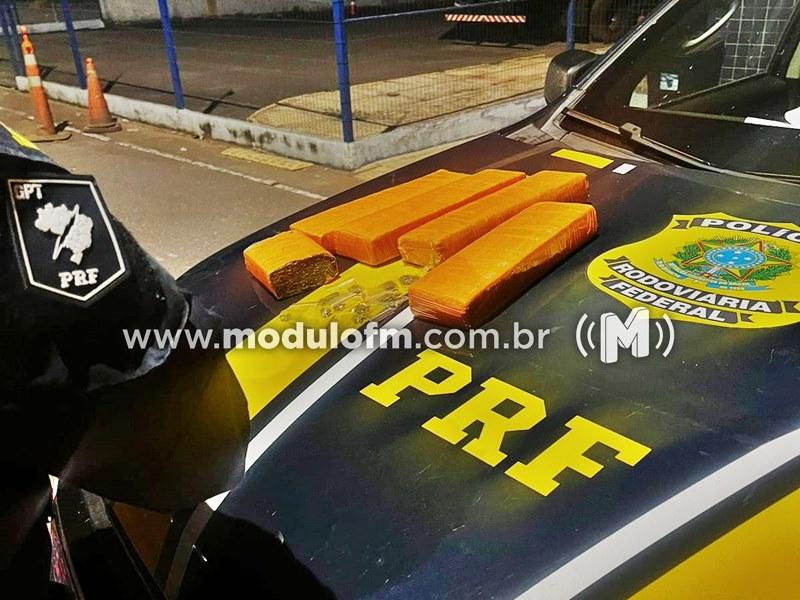 Mulher é presa por transportar drogas em ônibus na BR-365