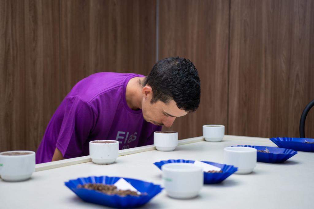 Expocacer lança mapeamento para identificar cafés especiais do Cerrado...
