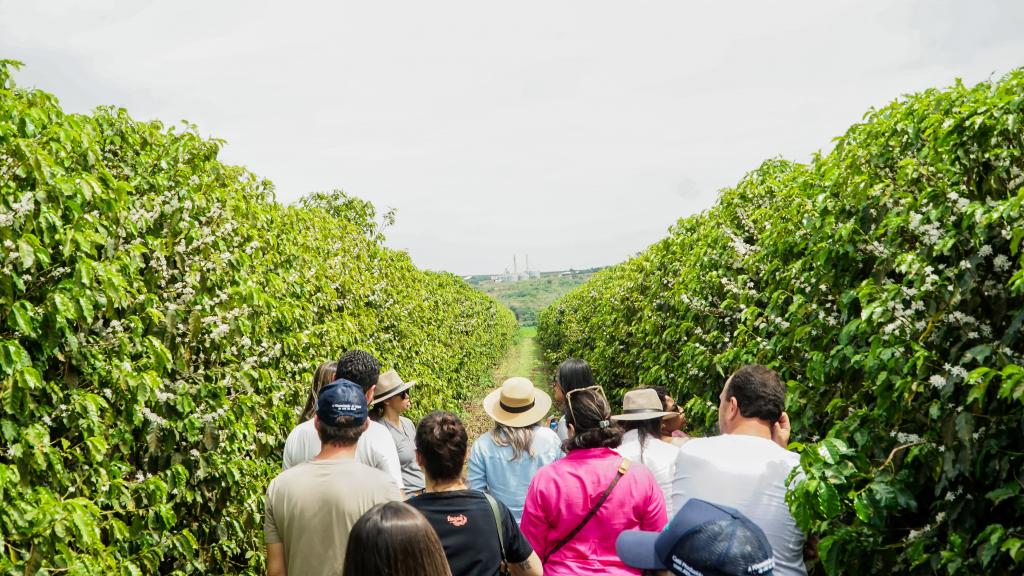 Turistas conhecerão de perto fazendas do Cerrado Mineiro no...