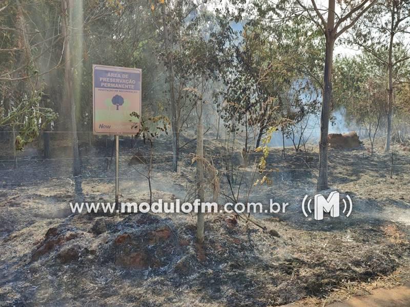 Incêndio de grandes proporções atinge reserva ambiental e depósito de equipamentos em Patrocínio