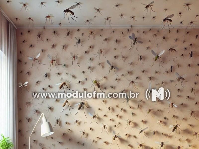 Infestação de pernilongos no bairro Belvedere em Patrocínio gera reclamações e preocupa moradores, que pedem providências urgentes