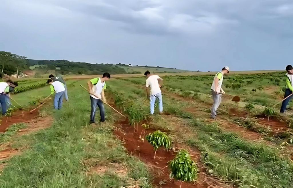 Prefeitura publica lei que institui programa de bolsas para...