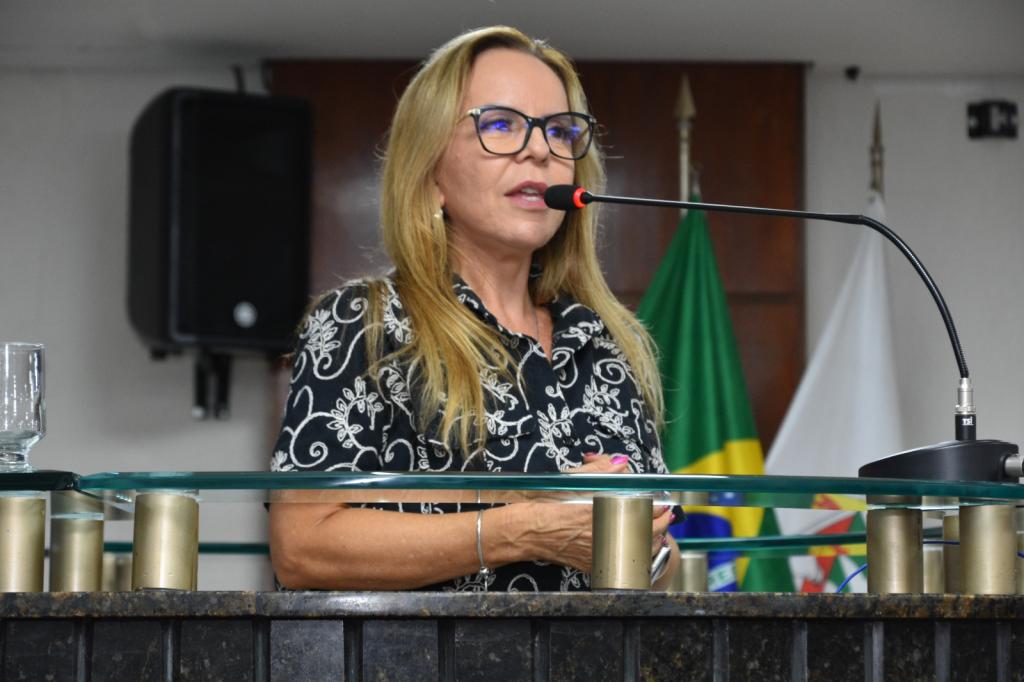 Imagem 3 do post Vereadores discutem Minha Casa, Minha Vida e transporte público municipal em reunião da Câmara