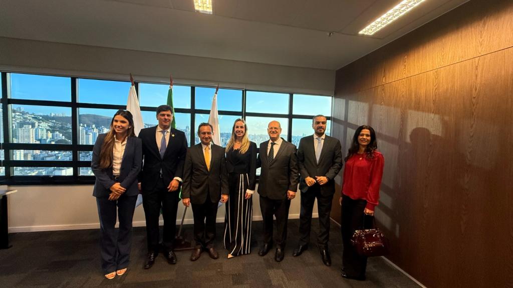 Imagem 6 do post Mobilização da OAB de Patrocínio reforça ao TJMG importância da instalação da 3ª Vara Cível na Comarca