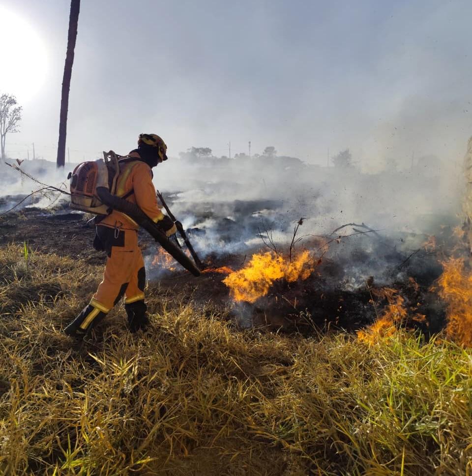 Imagem 2 do post Incêndio na região do Pântano é controlado após dois dias de combate