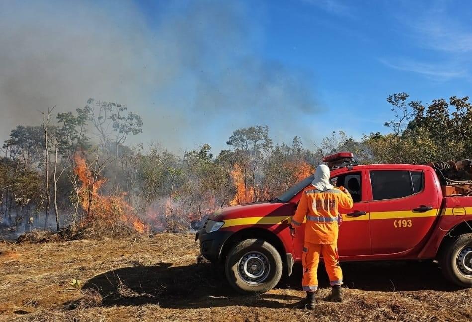 Incêndio na região do Pântano é controlado após dois dias de combate