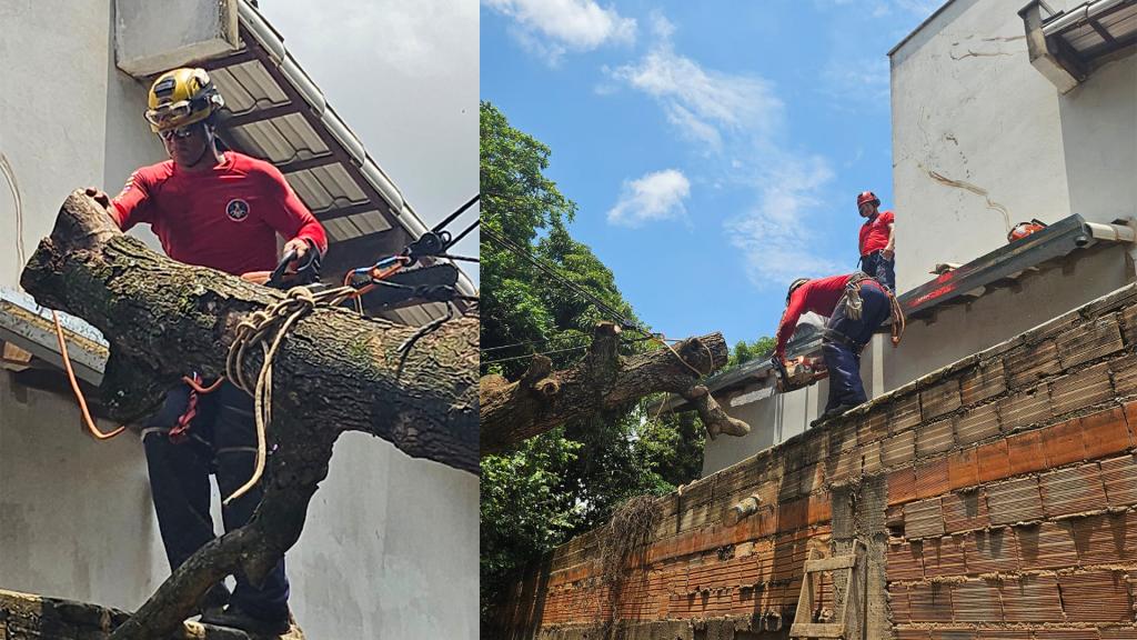 Árvore cai durante forte chuva e atinge residência no...