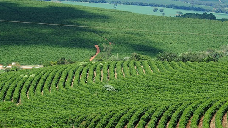 PIB de Minas cresce 1,1% no 3º trimestre e...