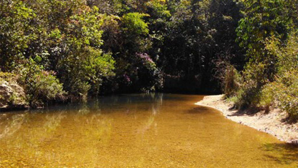 Projeto prevê ações para segurança hídrica na bacia do...