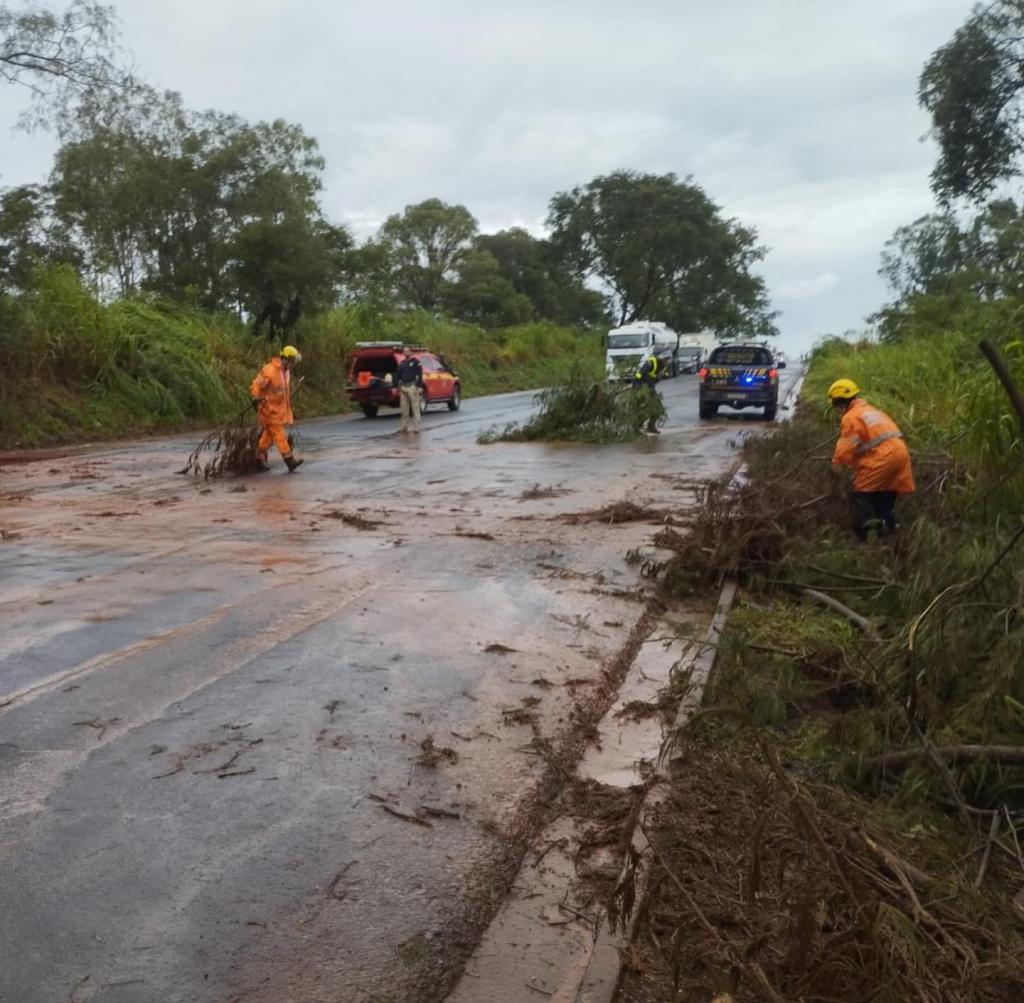 Queda de árvores interdita parcialmente a BR-365 em Guimarânia após chuva